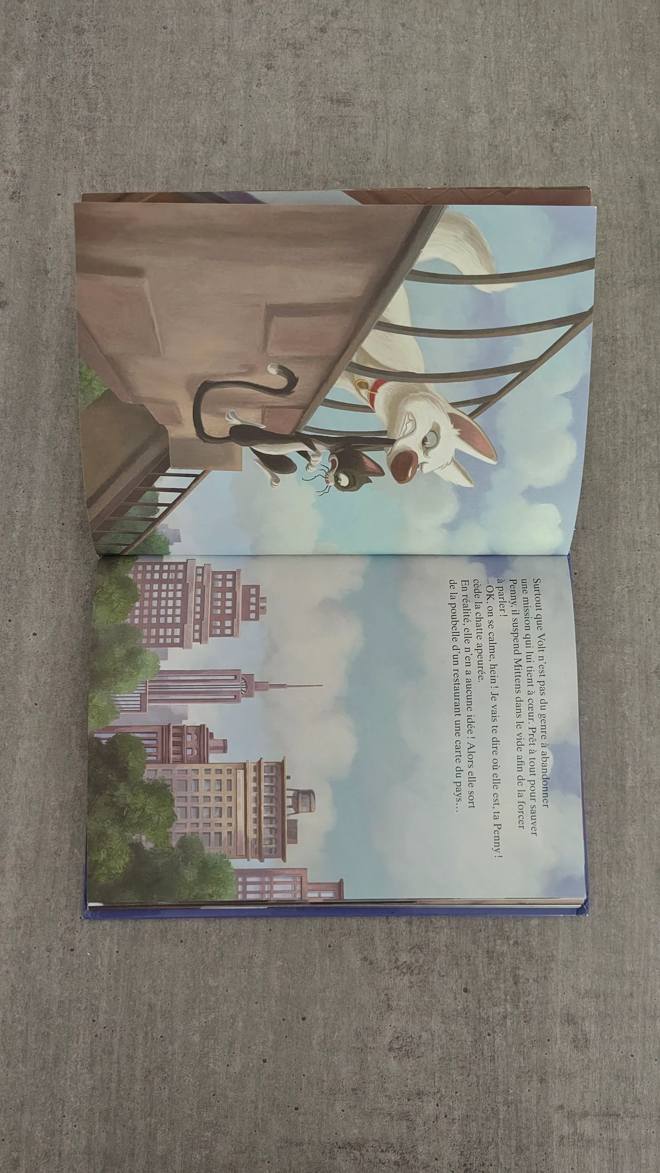 Libro infantil «Volt», estrella a pesar de sí mismo - Disney – photo 6